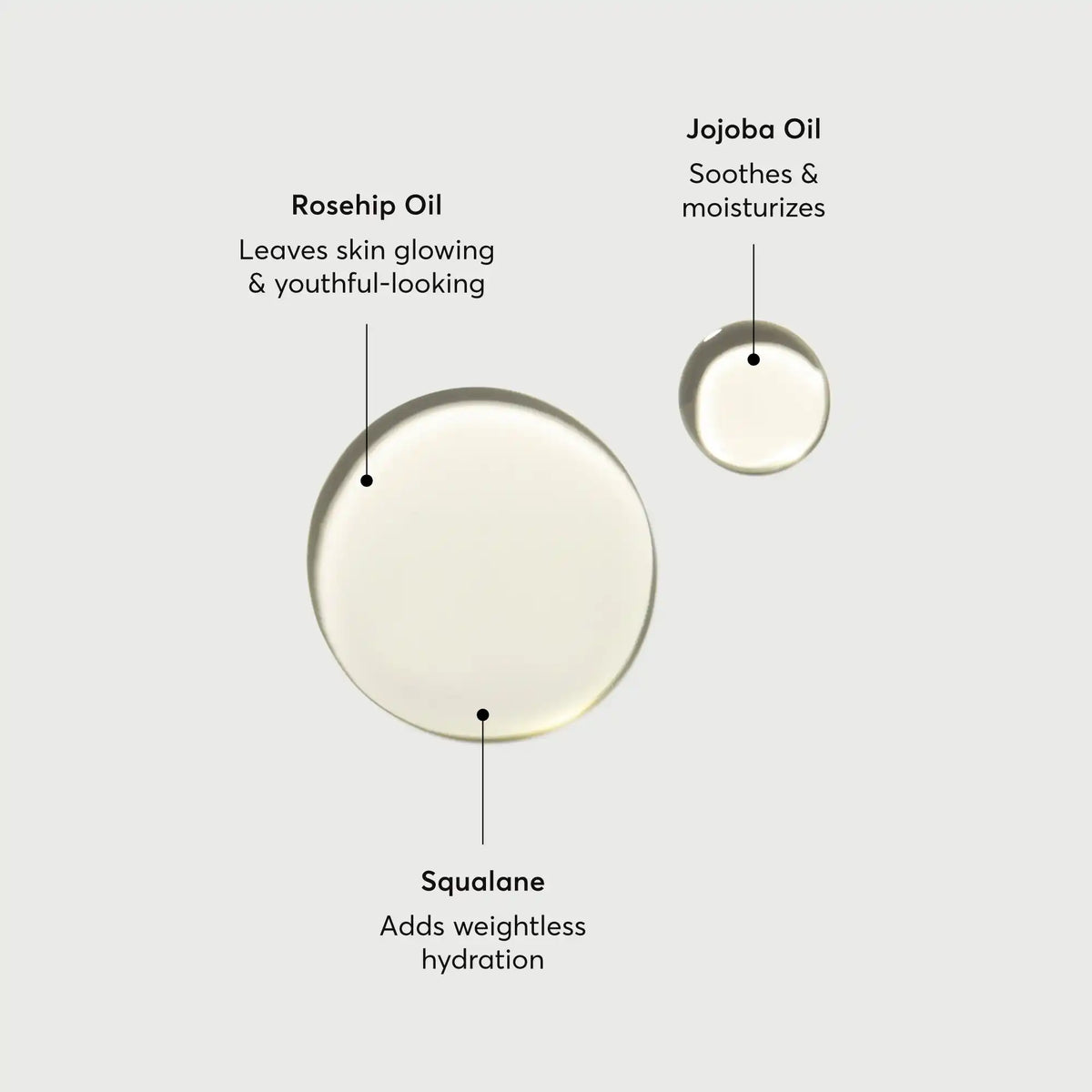 the-glow-getter-body-oil-o5 NATR-10115-Alt-Images-The-Glow-Getter-Body-Oil-01.webp