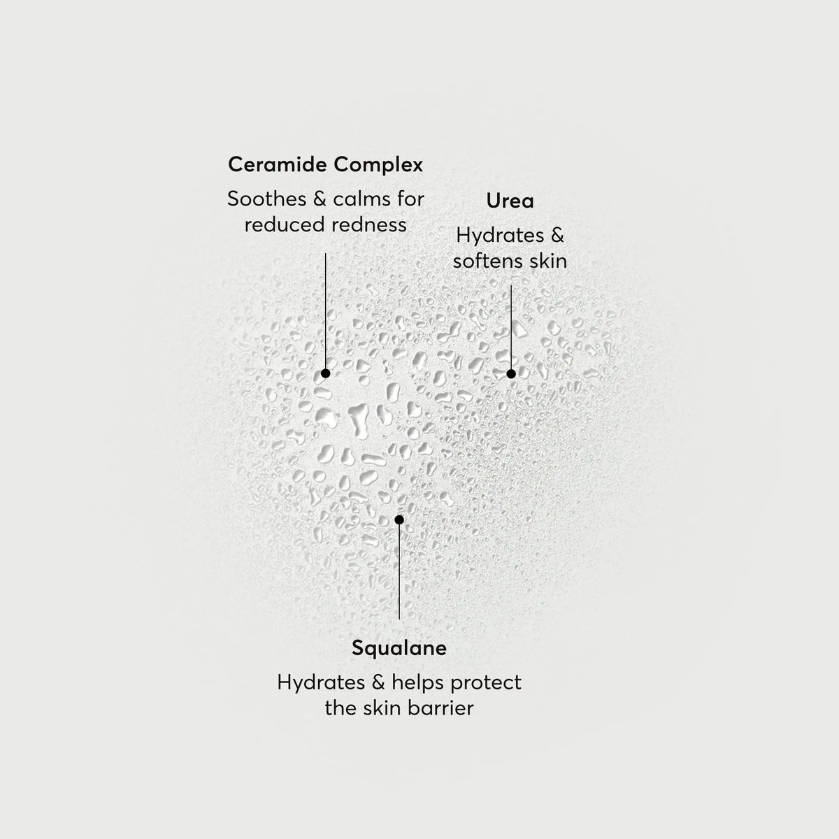 barrier-bounce-bi-phase-mist-d1 NATR-10167-Alt-Images-Barrier-Bounce-Bi-Phase-Toner-Mist_01.webp